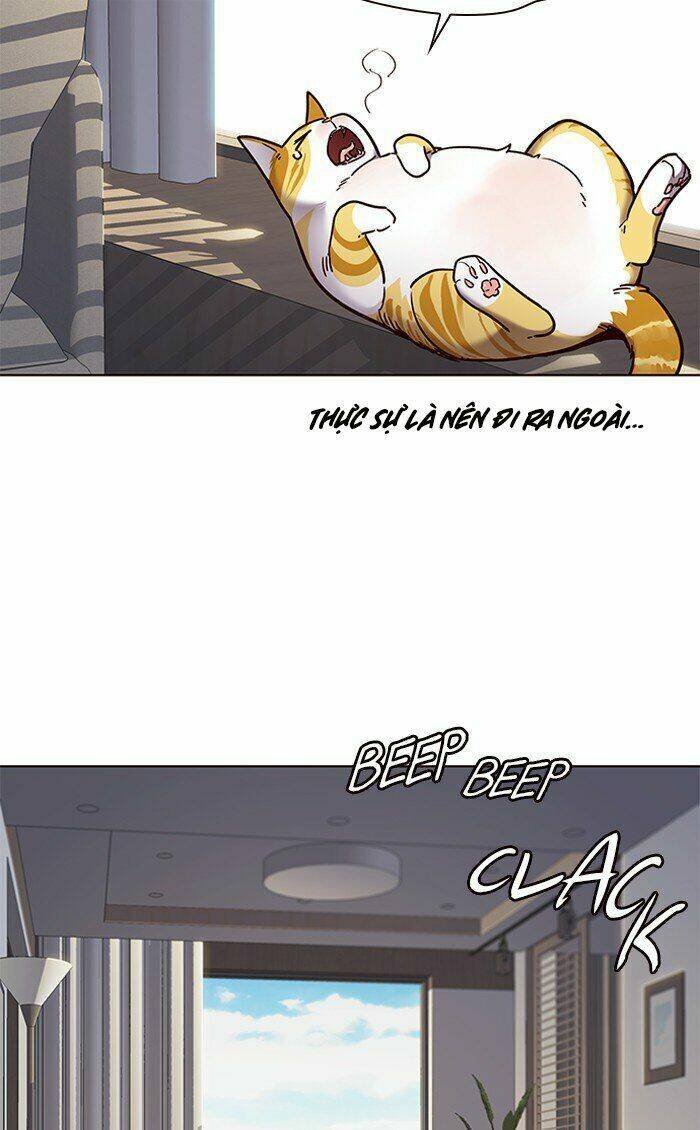 Hoá Thân Thành Mèo Chap 70 - Next Chap 71