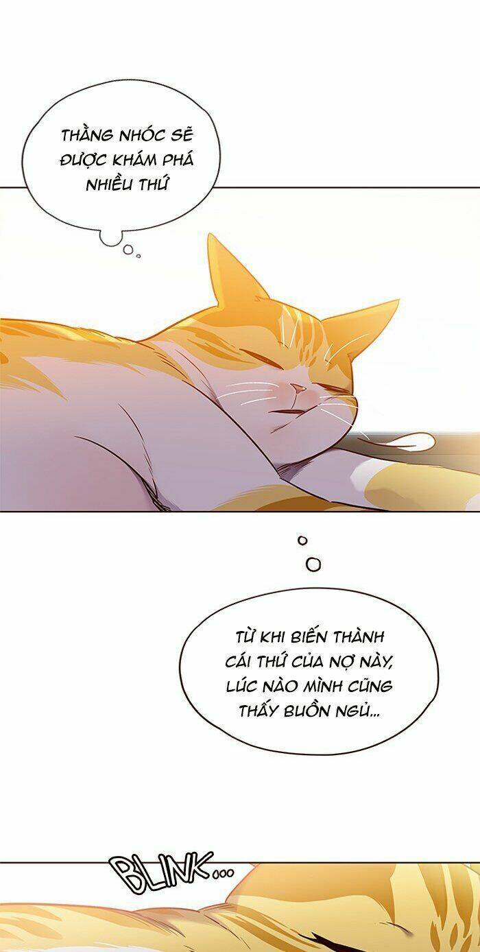 Hoá Thân Thành Mèo Chap 70 - Next Chap 71