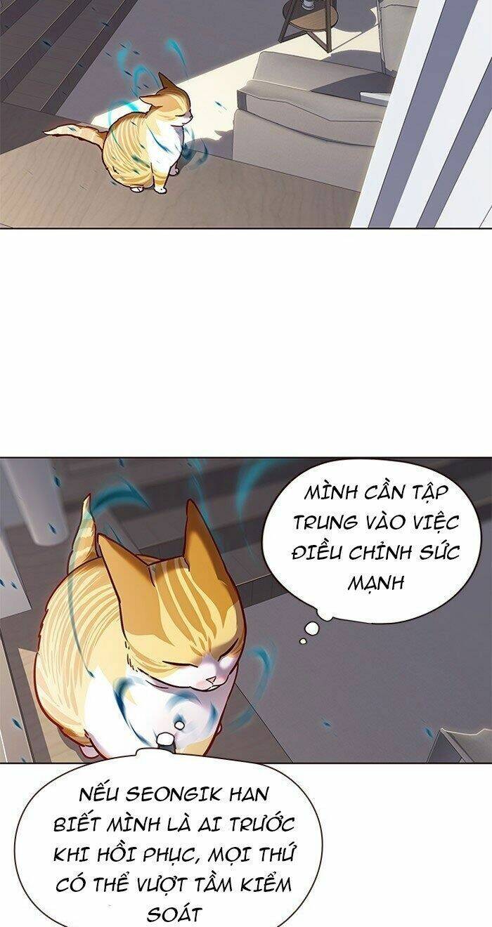 Hoá Thân Thành Mèo Chap 73 - Next Chap 74