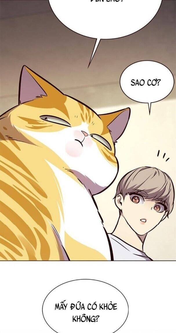 Hoá Thân Thành Mèo Chap 176 - Next Chap 177