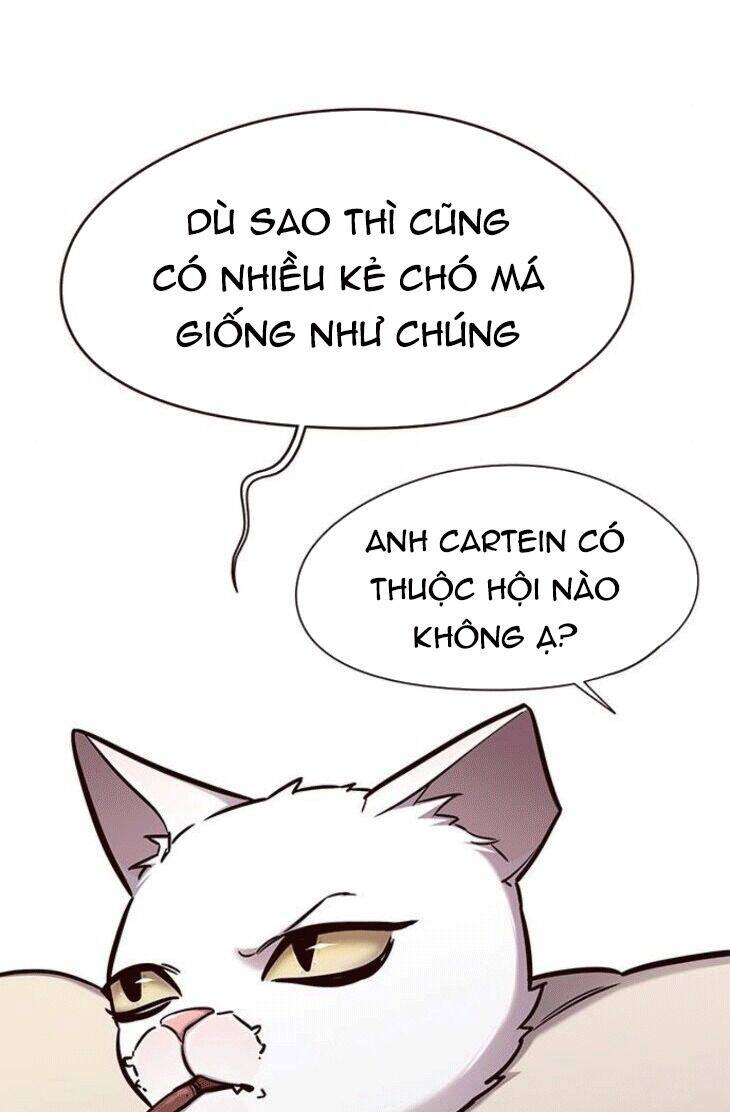 Hoá Thân Thành Mèo Chap 148 - Next Chap 149