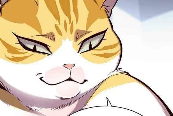Hoá Thân Thành Mèo Chap 153 - Next Chap 154