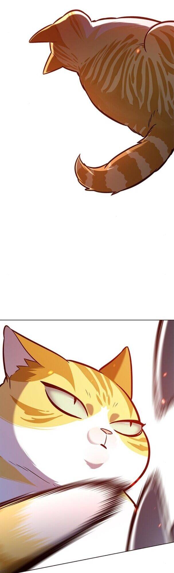 Hoá Thân Thành Mèo Chap 163 - Next Chap 164