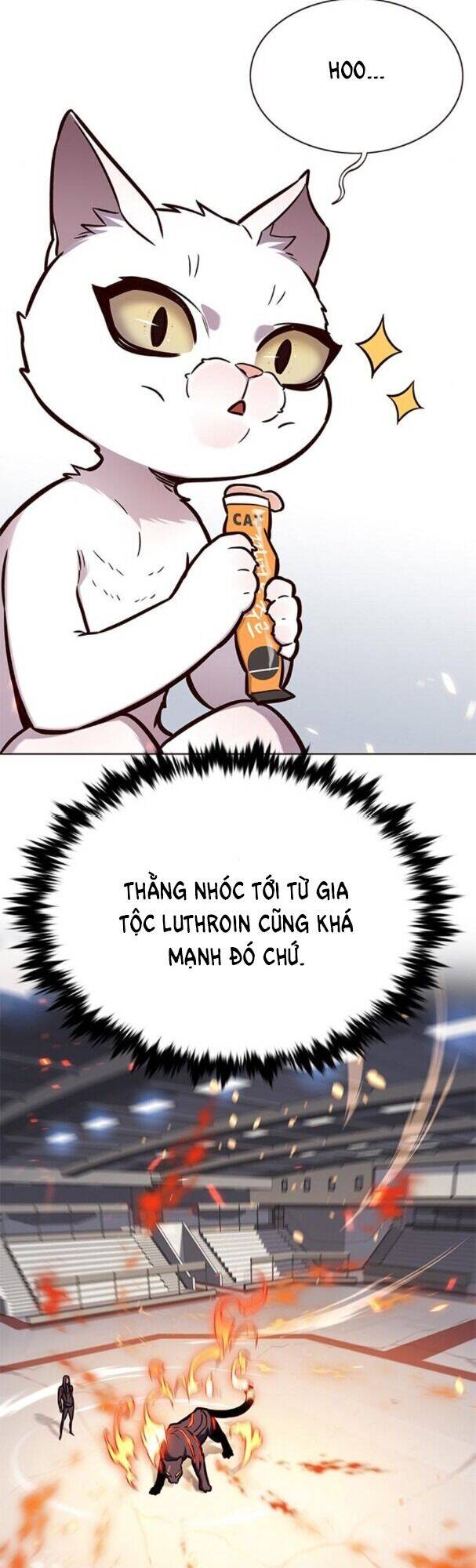 Hoá Thân Thành Mèo Chap 163 - Next Chap 164