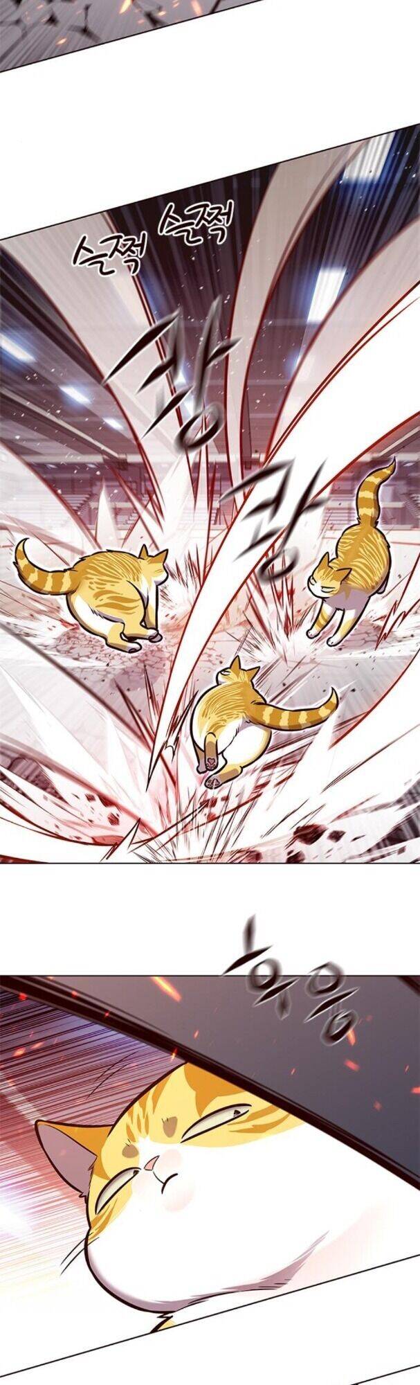 Hoá Thân Thành Mèo Chap 163 - Next Chap 164