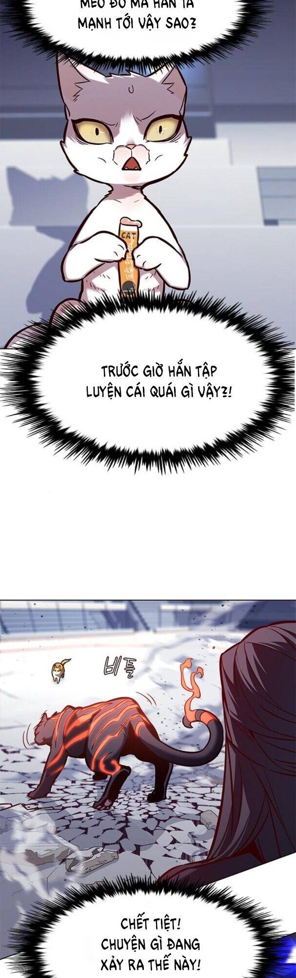 Hoá Thân Thành Mèo Chap 163 - Next Chap 164