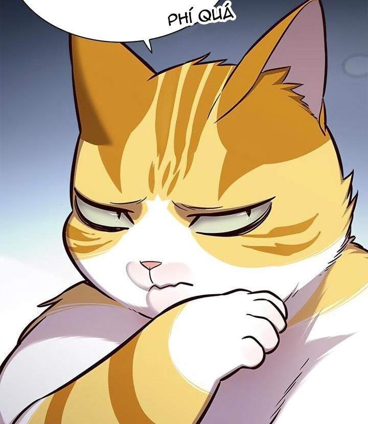 Hoá Thân Thành Mèo Chap 165 - Next Chap 166