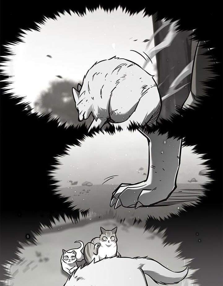 Hoá Thân Thành Mèo Chap 165 - Next Chap 166