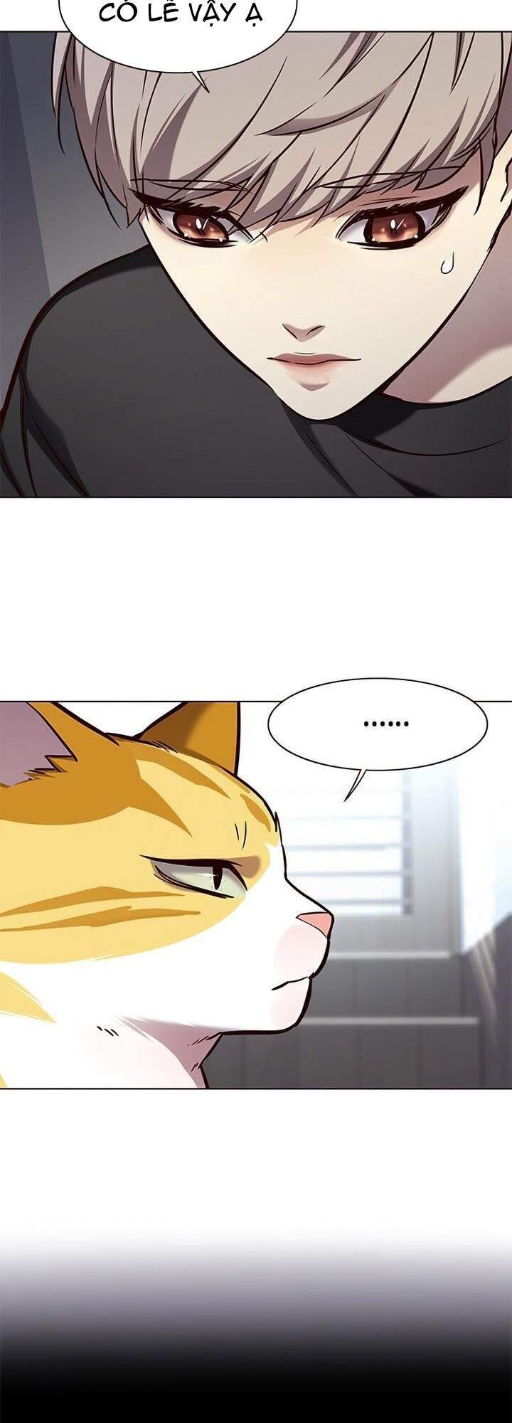 Hoá Thân Thành Mèo Chap 165 - Next Chap 166