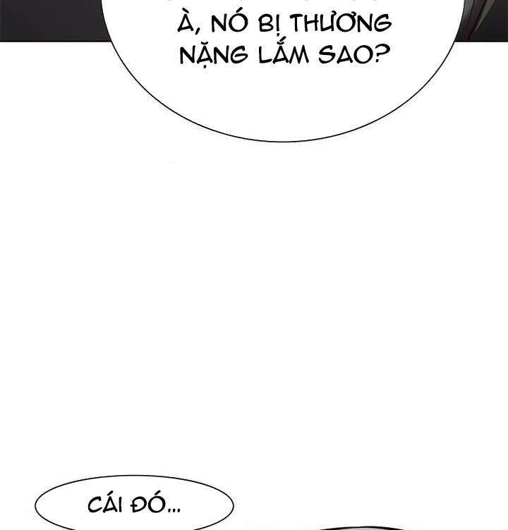 Hoá Thân Thành Mèo Chap 165 - Next Chap 166