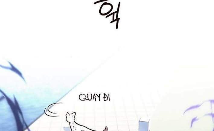 Hoá Thân Thành Mèo Chap 166 - Next Chap 167