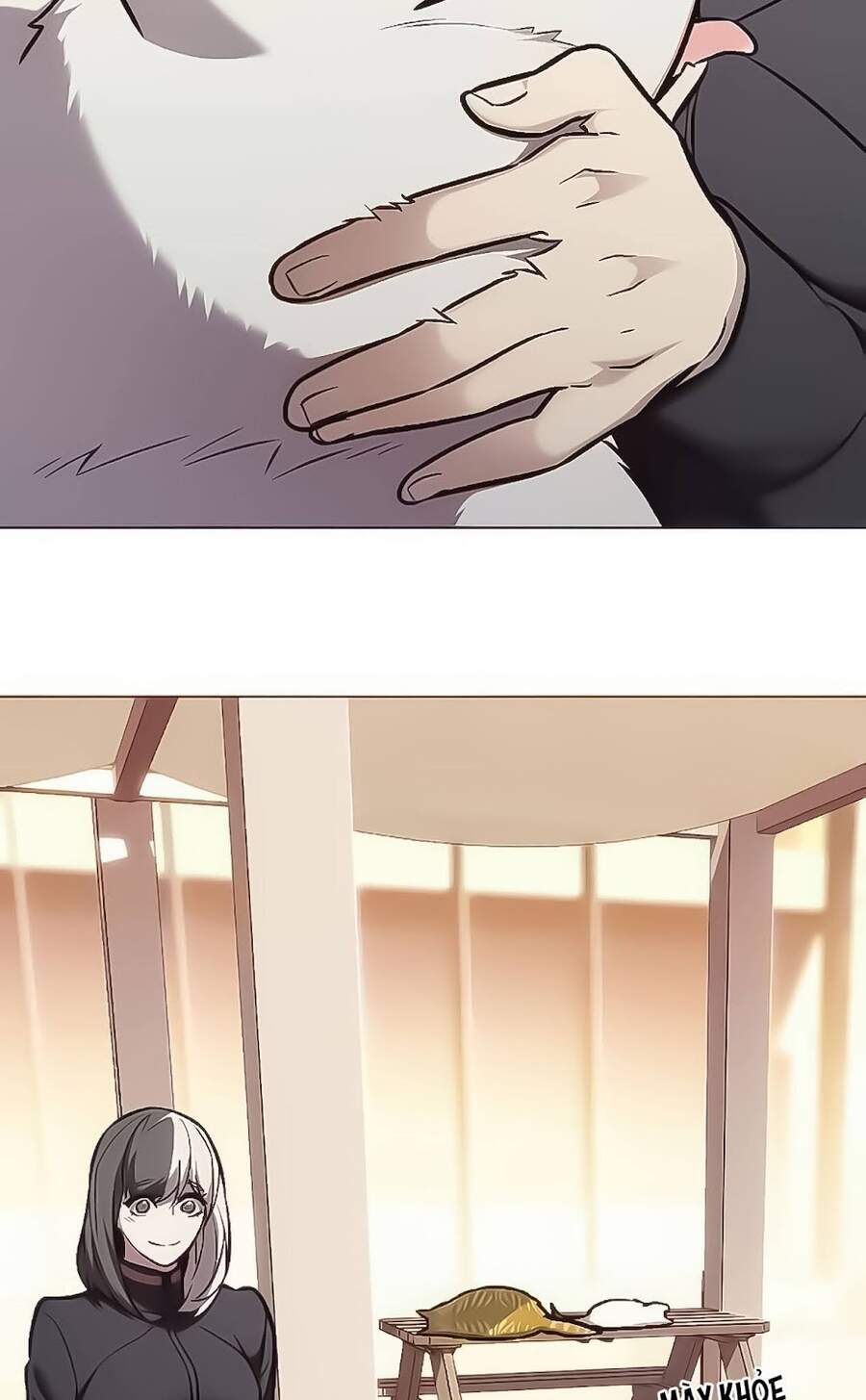 Hoá Thân Thành Mèo Chap 168 - Next Chap 169