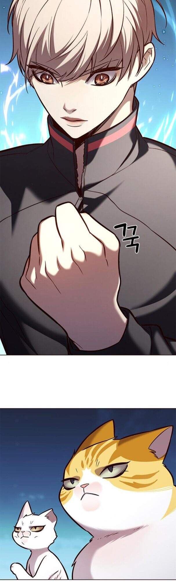 Hoá Thân Thành Mèo Chap 169 - Next Chap 170