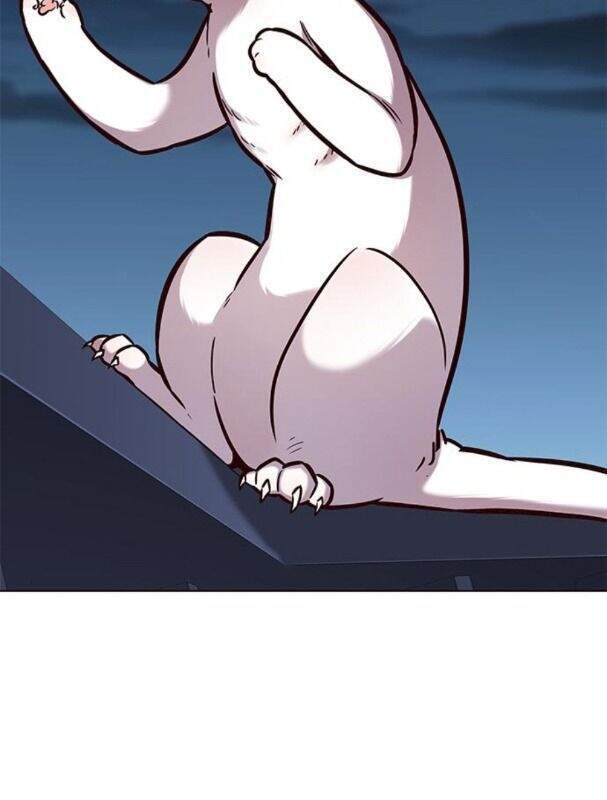 Hoá Thân Thành Mèo Chap 169 - Next Chap 170