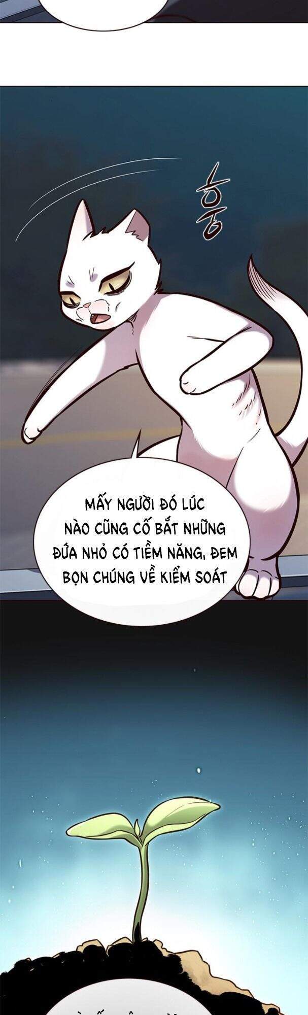 Hoá Thân Thành Mèo Chap 169 - Next Chap 170