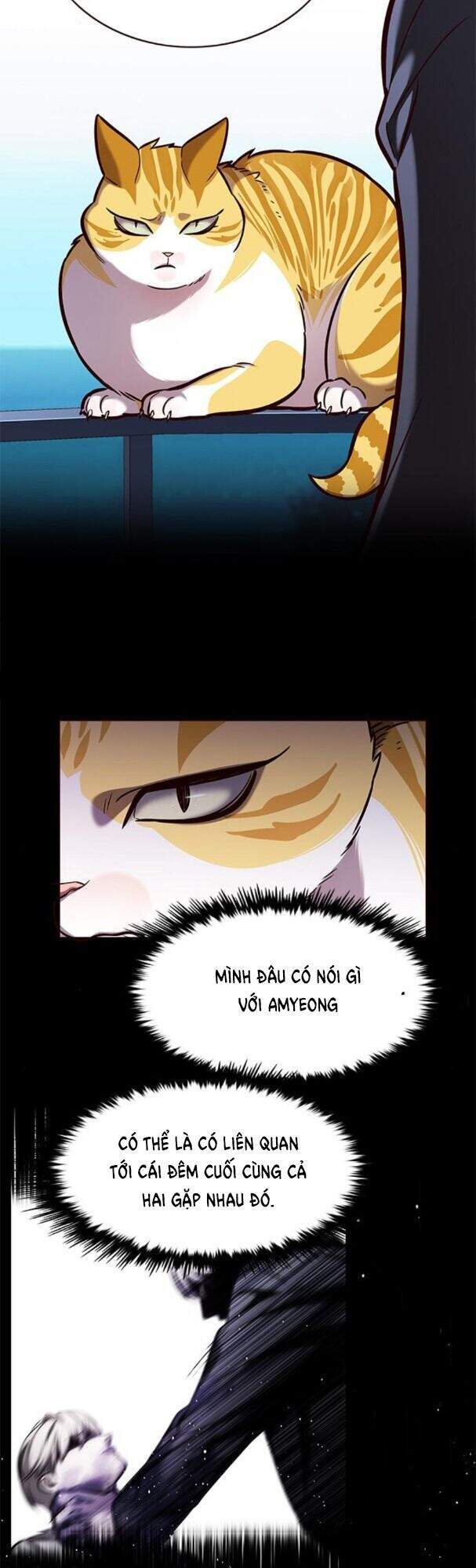 Hoá Thân Thành Mèo Chap 169 - Next Chap 170