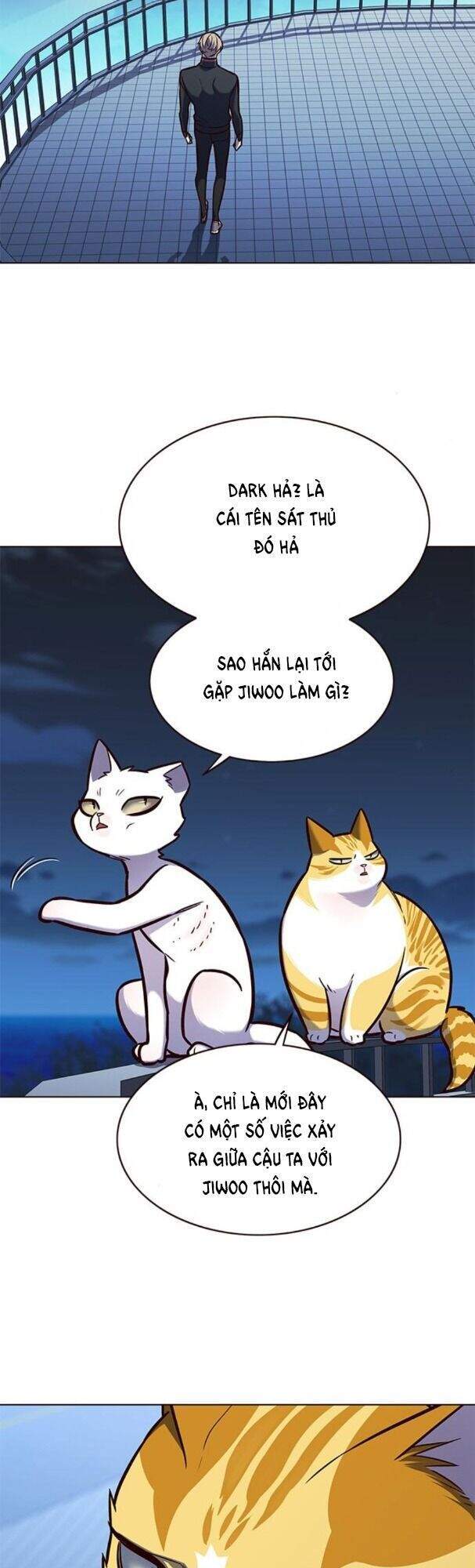 Hoá Thân Thành Mèo Chap 169 - Next Chap 170