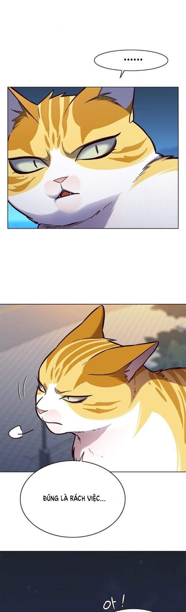 Hoá Thân Thành Mèo Chap 169 - Next Chap 170