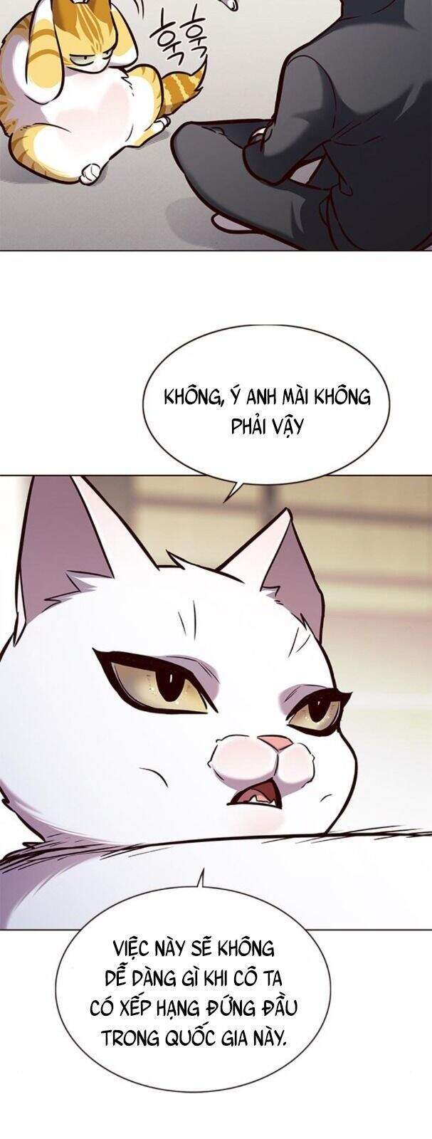 Hoá Thân Thành Mèo Chap 170 - Next Chap 171