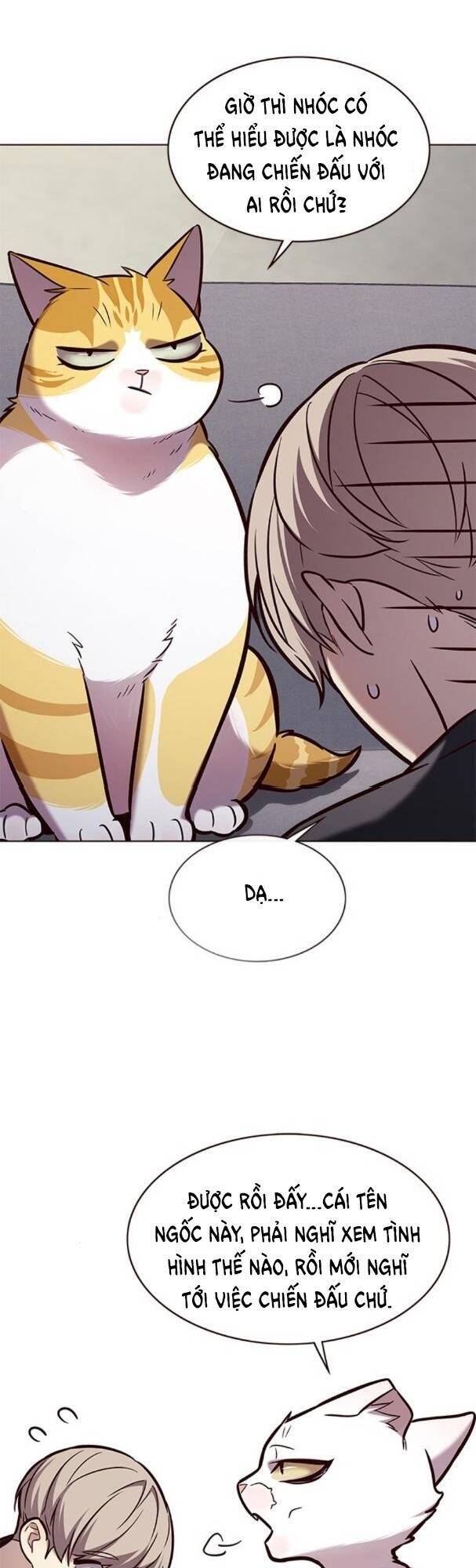 Hoá Thân Thành Mèo Chap 173 - Next Chap 174