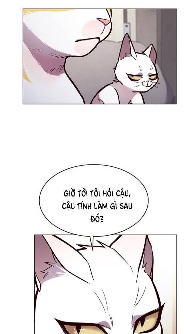 Hoá Thân Thành Mèo Chap 173 - Next Chap 174