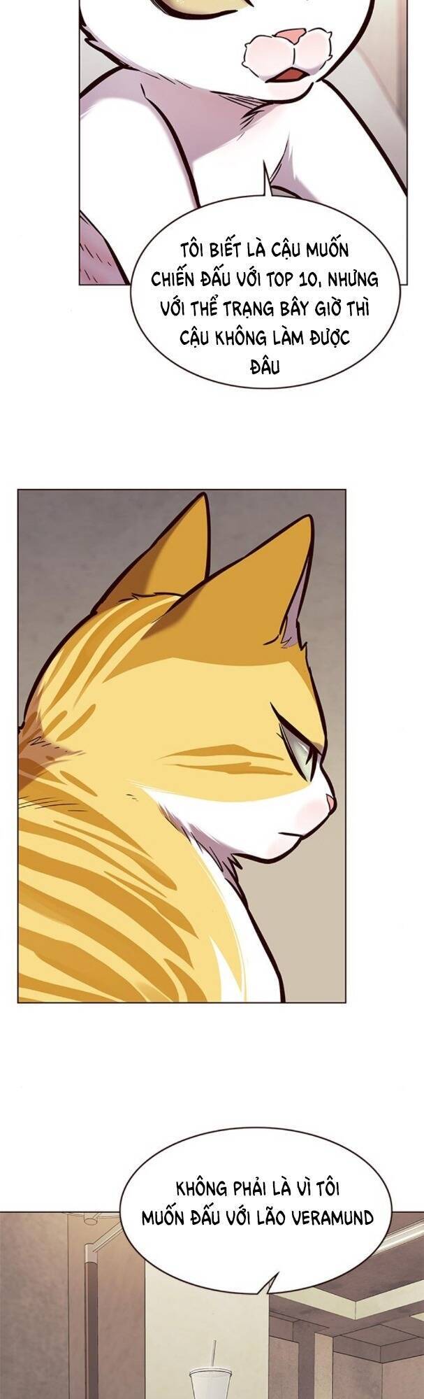 Hoá Thân Thành Mèo Chap 173 - Next Chap 174