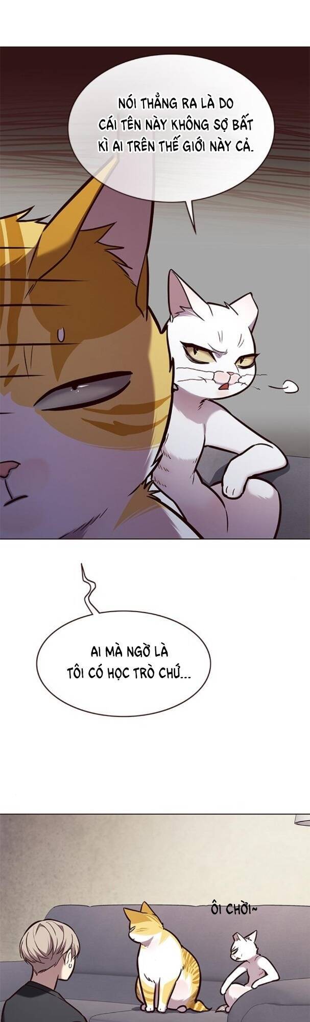 Hoá Thân Thành Mèo Chap 173 - Next Chap 174