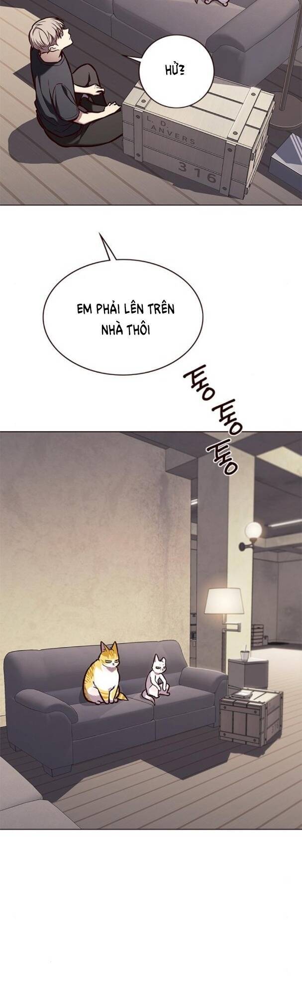 Hoá Thân Thành Mèo Chap 173 - Next Chap 174