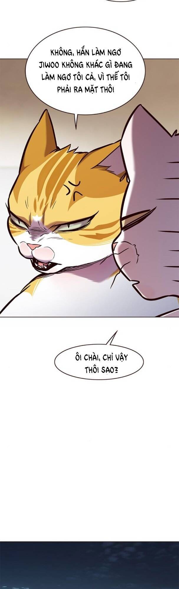 Hoá Thân Thành Mèo Chap 173 - Next Chap 174