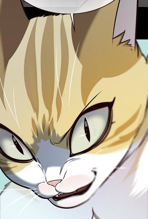 Hoá Thân Thành Mèo Chap 175 - Next Chap 176