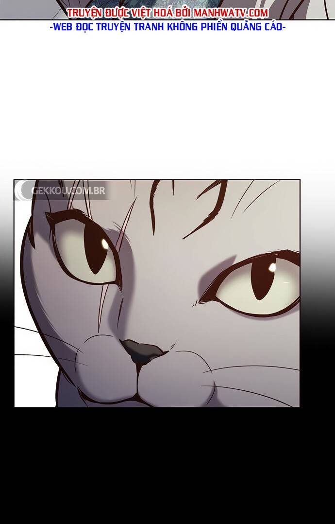 Hoá Thân Thành Mèo Chap 188 - Next Chap 189