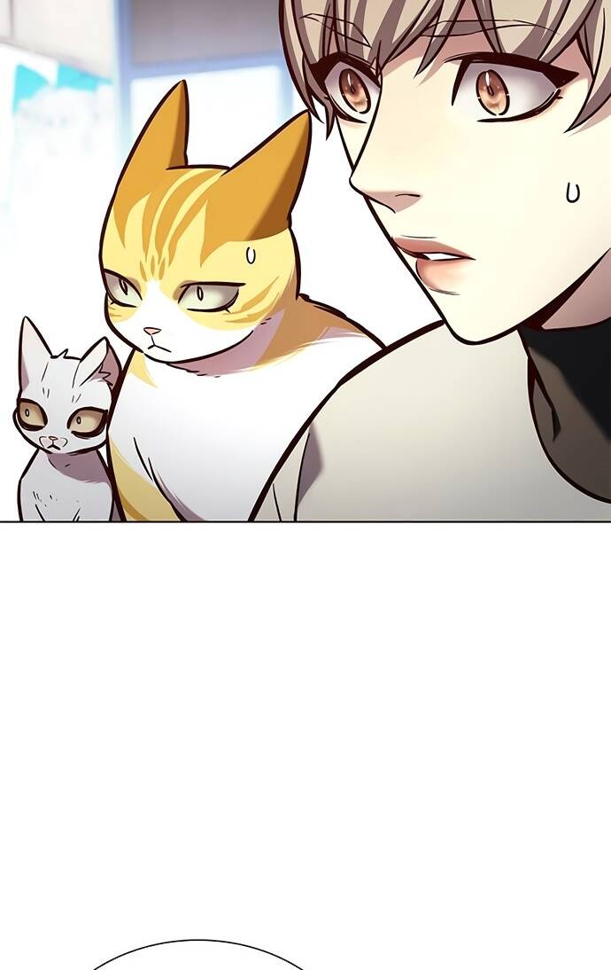 Hoá Thân Thành Mèo Chap 188 - Next Chap 189