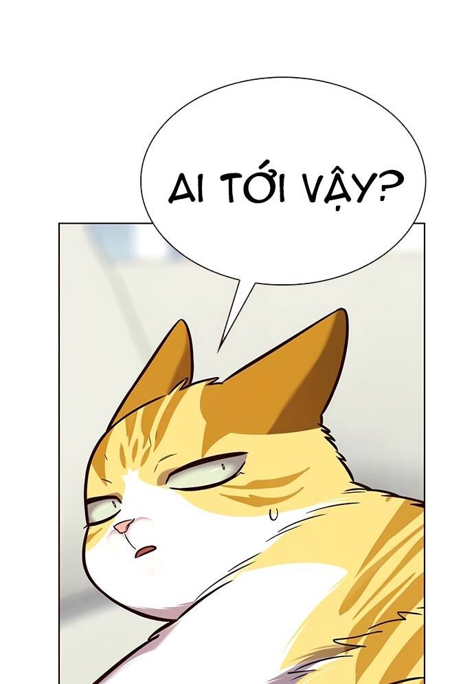 Hoá Thân Thành Mèo Chap 188 - Next Chap 189