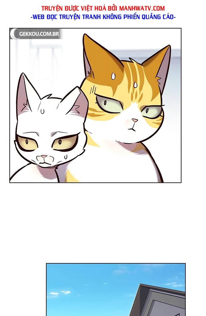 Hoá Thân Thành Mèo Chap 188 - Next Chap 189
