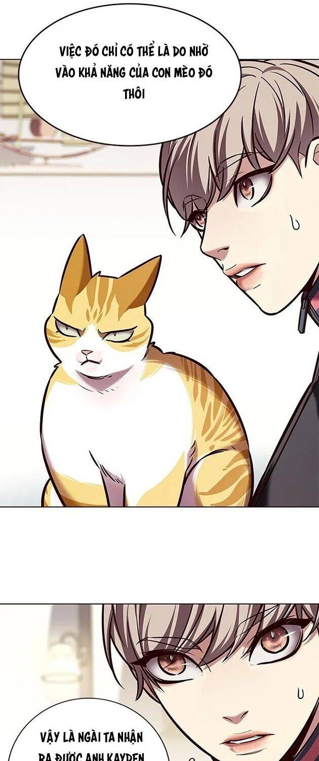 Hoá Thân Thành Mèo Chap 196 - Next Chap 197