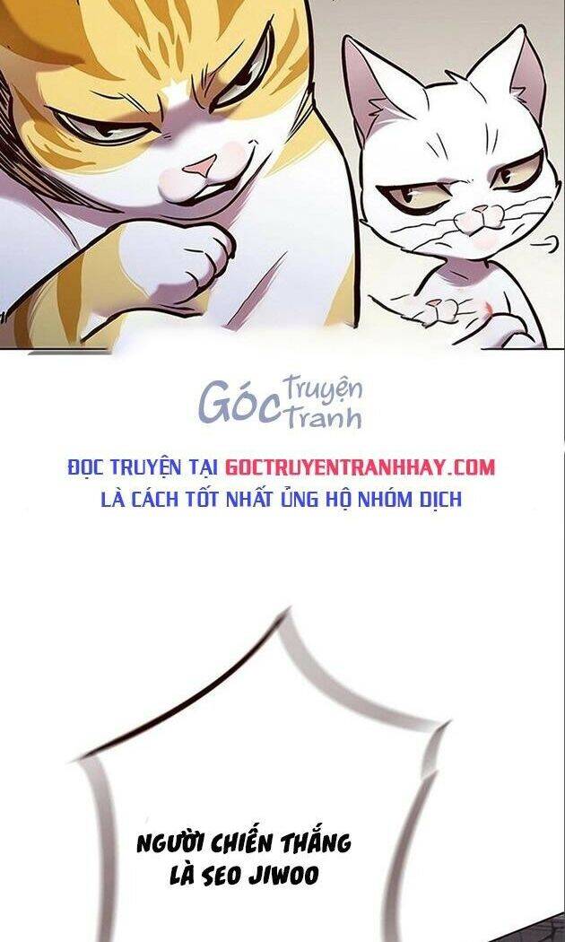 Hoá Thân Thành Mèo Chap 198 - Next Chap 199