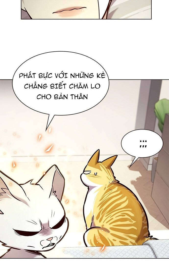 Hoá Thân Thành Mèo Chap 199 - Next Chap 200