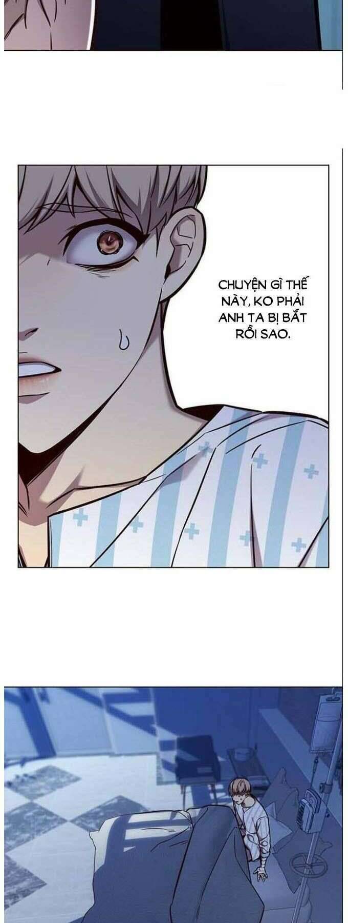 Hoá Thân Thành Mèo Chap 137 - Next Chap 138