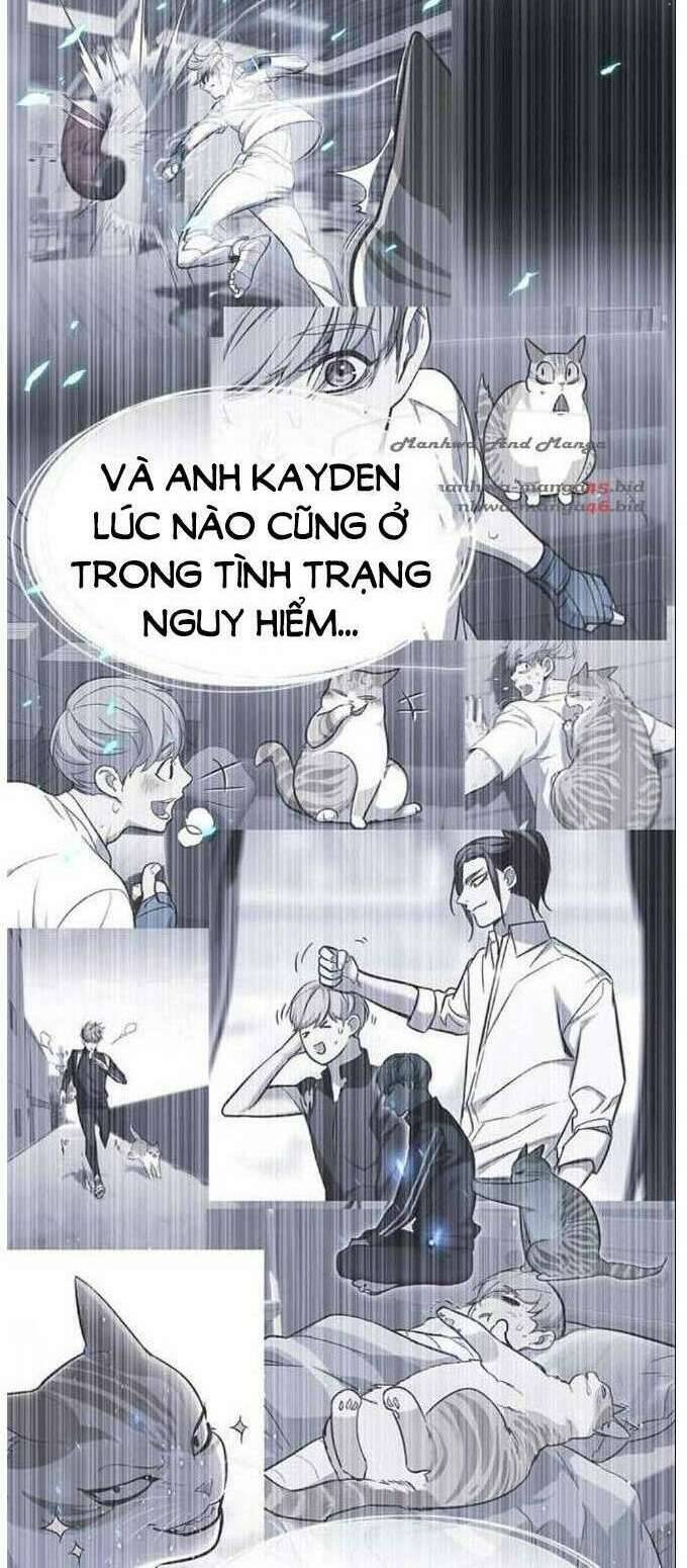Hoá Thân Thành Mèo Chap 137 - Next Chap 138