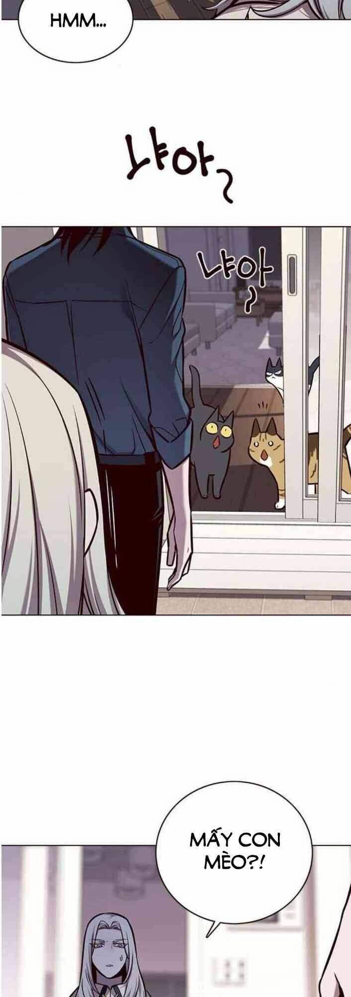 Hoá Thân Thành Mèo Chap 138 - Next Chap 139