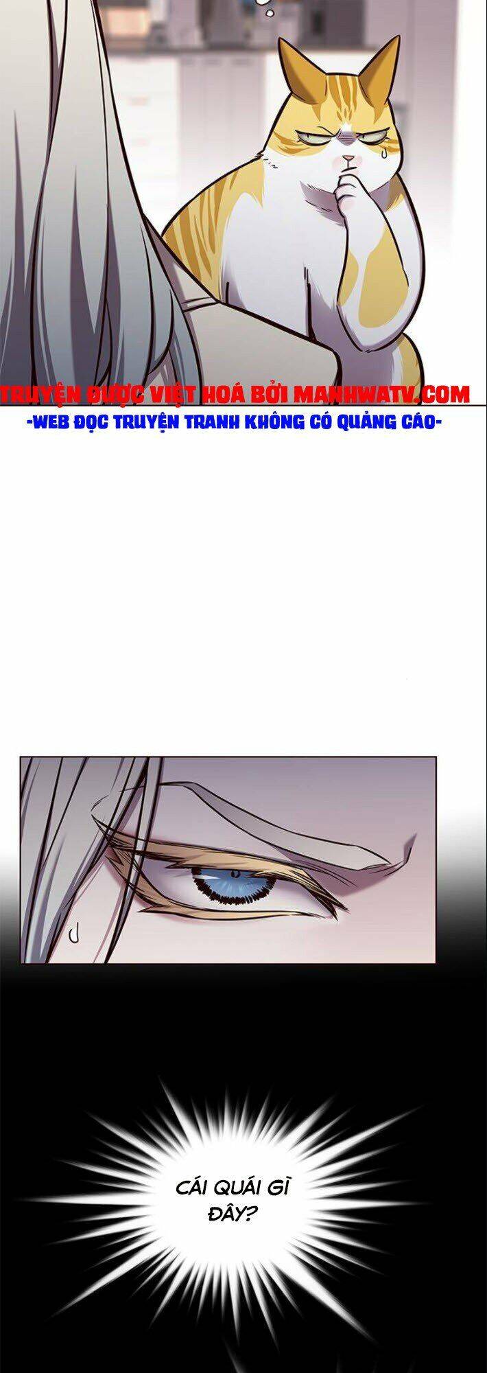 Hoá Thân Thành Mèo Chap 139 - Next Chap 140