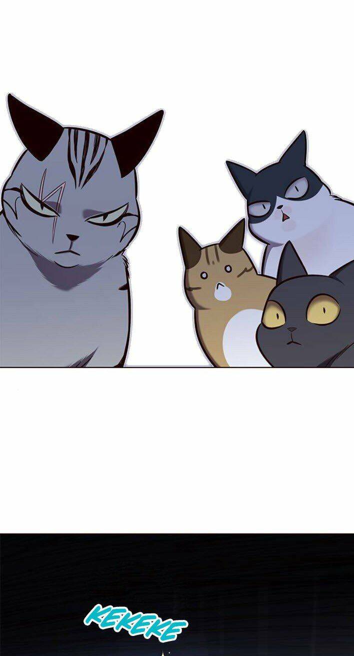 Hoá Thân Thành Mèo Chap 139 - Next Chap 140