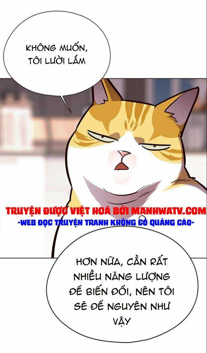 Hoá Thân Thành Mèo Chap 139 - Next Chap 140