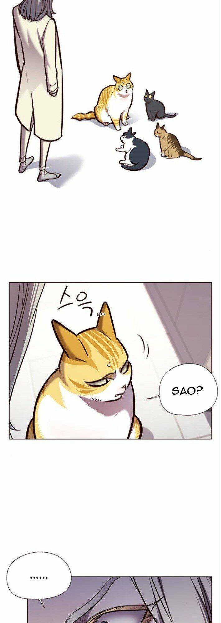 Hoá Thân Thành Mèo Chap 139 - Next Chap 140