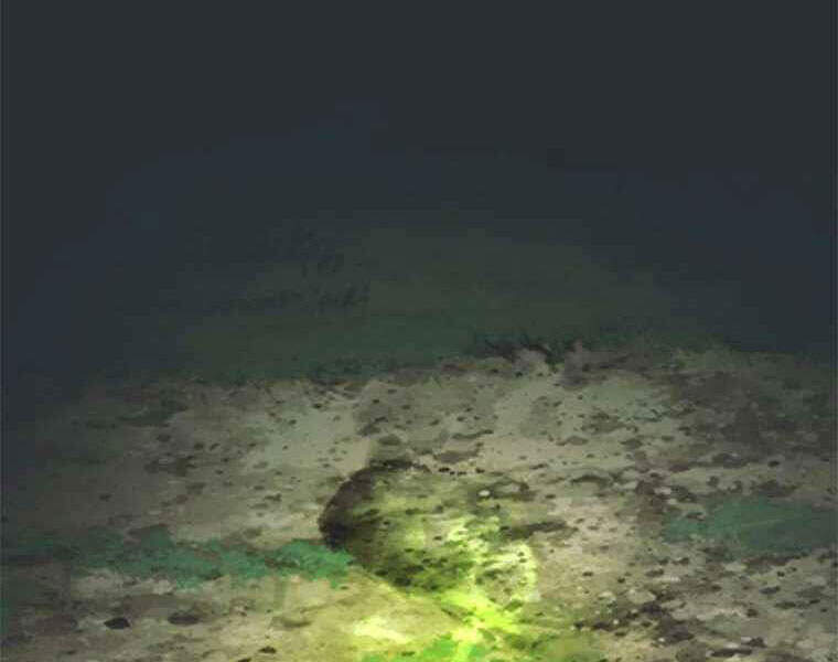 Vua Thăng Cấp Chap 105 - Next Chap 106