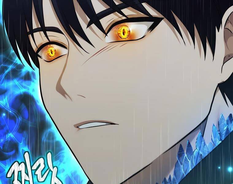 Vua Thăng Cấp Chap 117 - Next Chap 118