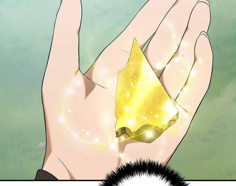 Vua Thăng Cấp Chap 118 - Next Chap 119