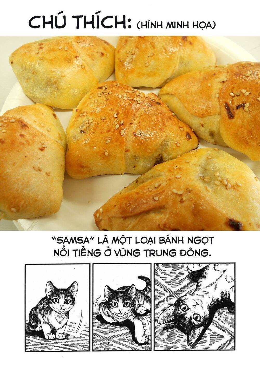 Cô Dâu Thảo Nguyên Chap 78 - Next Chap 79