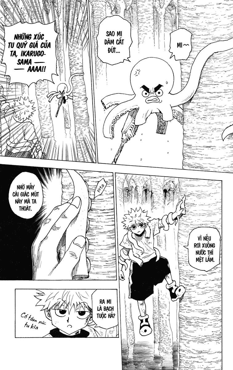 Hunter x Hunter Chap 238 - Next Chap 239