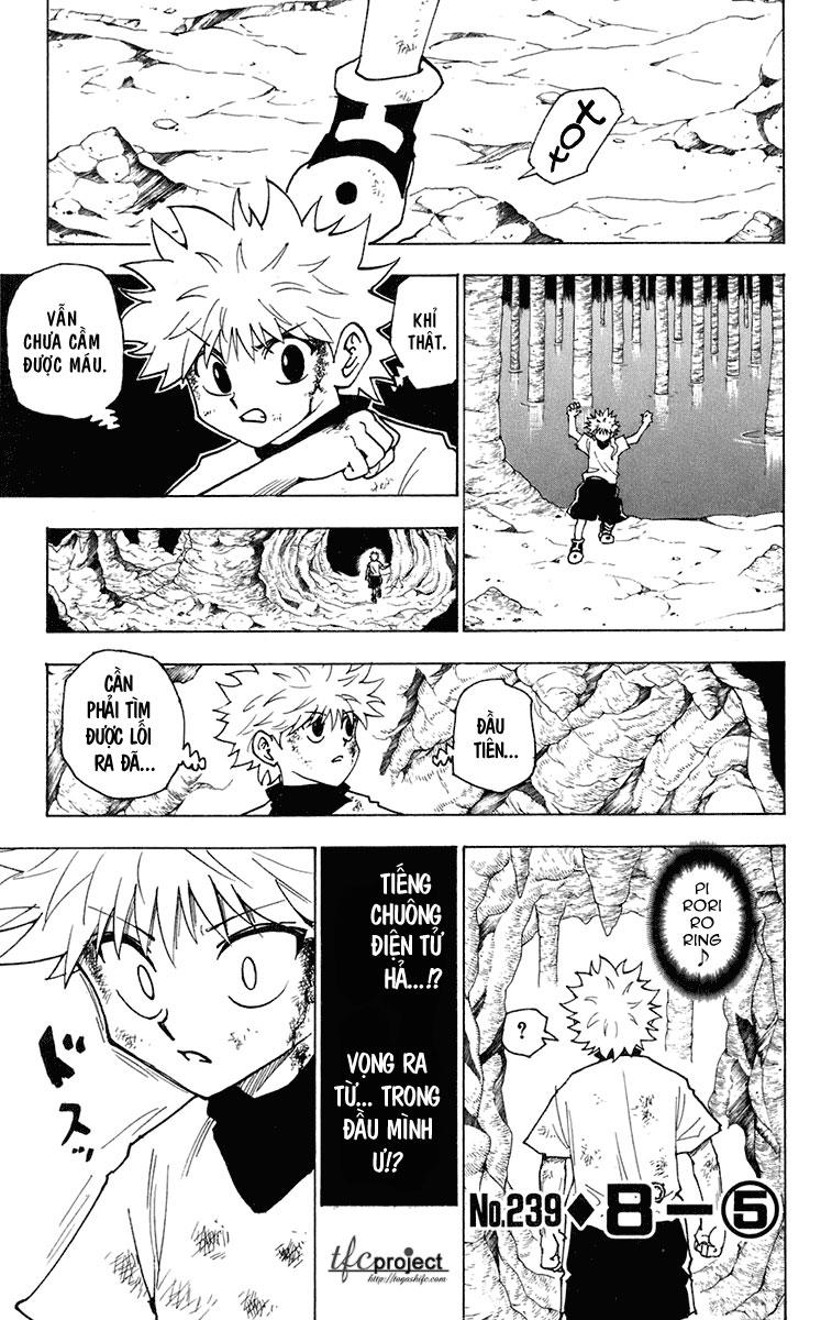 Hunter x Hunter Chap 239 - Next Chap 240